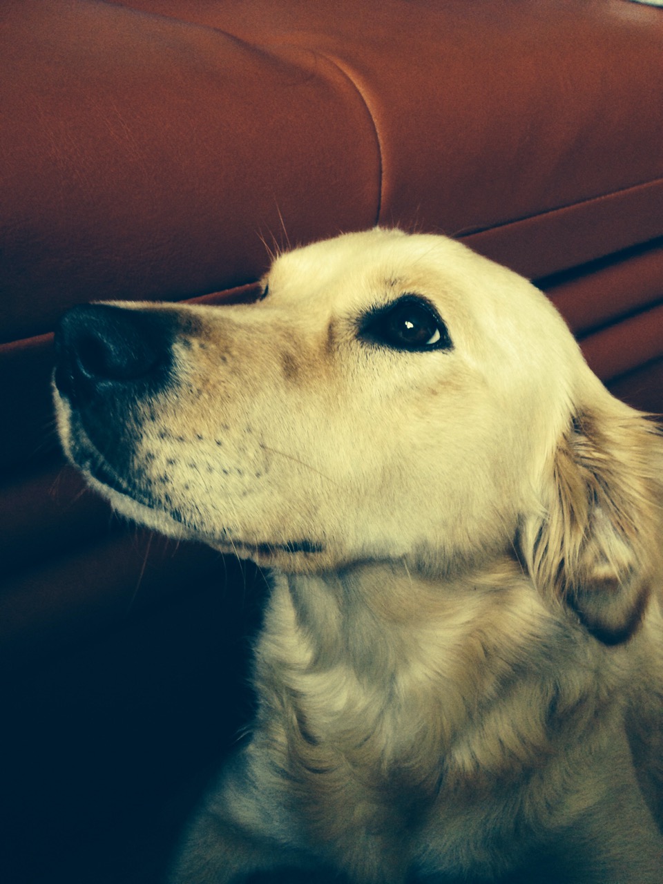 image-3de83359e5ee302168653439db181a15f326ad696b6c18c915a90d3bf3021584-V