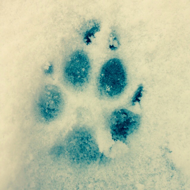 image-b4efee0bb4cae967d6c34fdb8aa3a13391024925693c95e72ce706b5be84e3a4-V